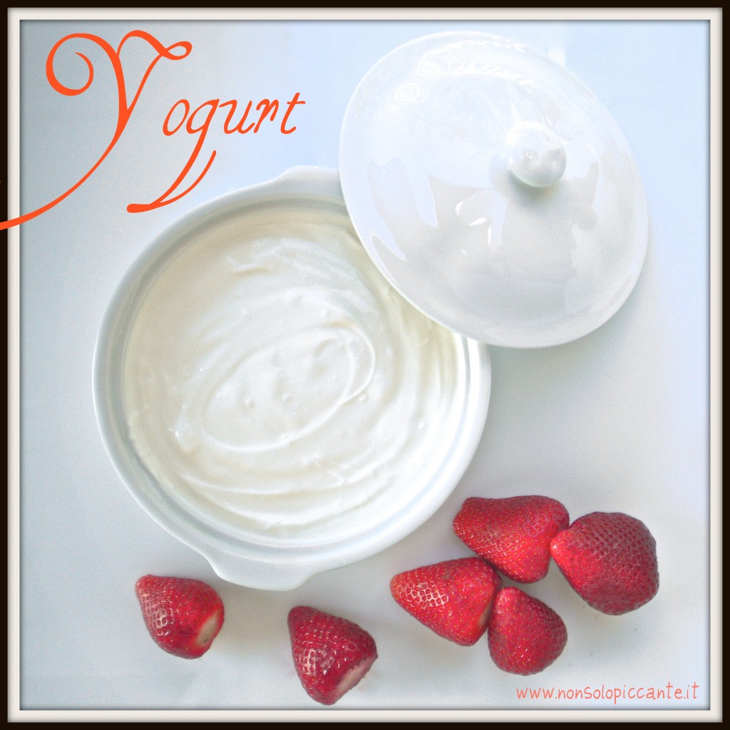 Yogurt naturale Yogurt naturale