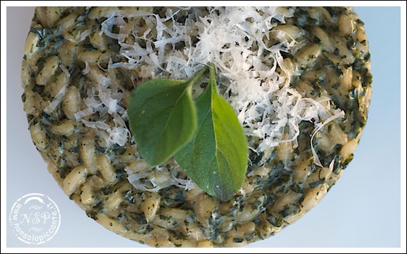 Risotto ortica Risotto ortica