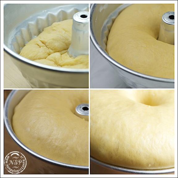 lievitazione lievitazione