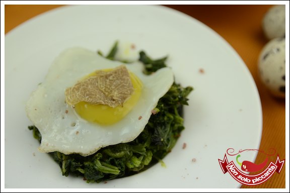 Tartufo-bianco Tartufo-bianco