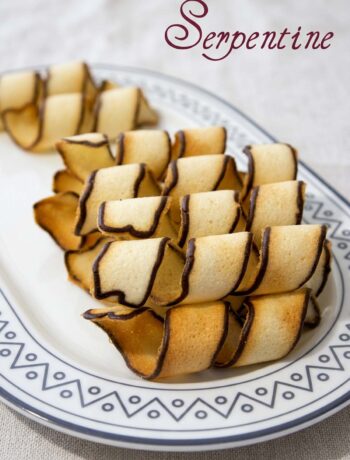serpentine biscotti a spirale