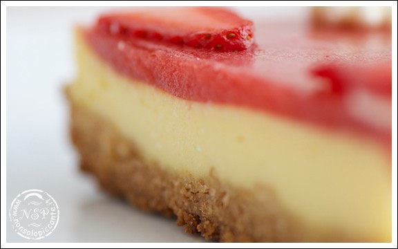 cheesecake alle fragole cheesecake alle fragole