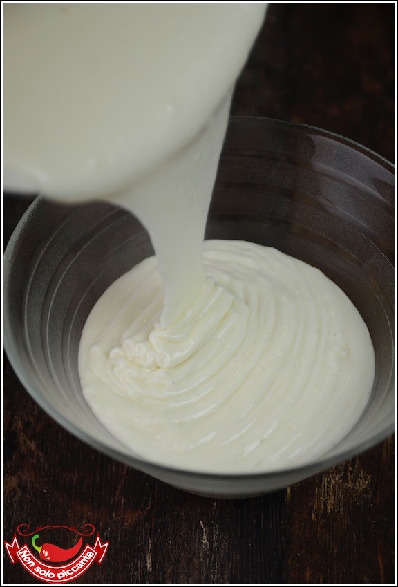 Besciamella All Olio Non Solo Piccante