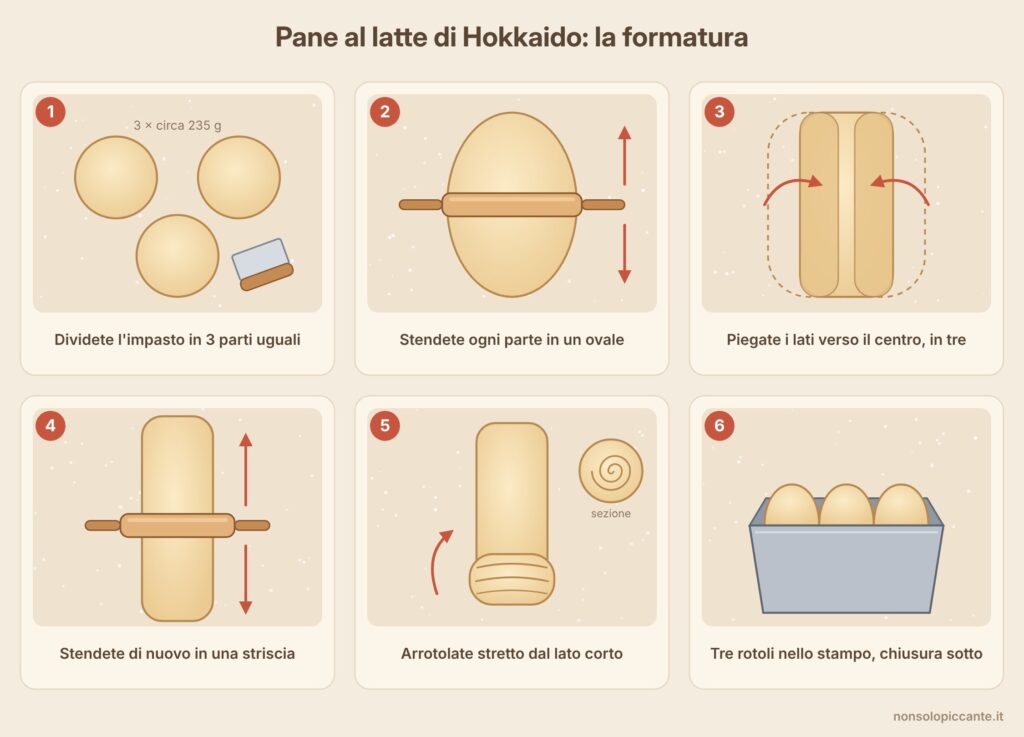 formatura pane al latte hokkaido